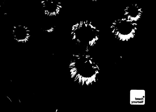 Teach Yourself Bulgarian.