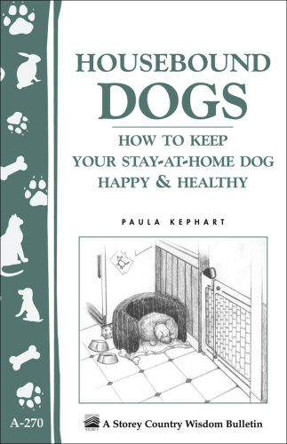 Housebound dogs: how to keep your stay-at-home dog happy & healthy