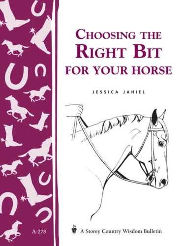 Choosing the Right Bit for Your Horse
