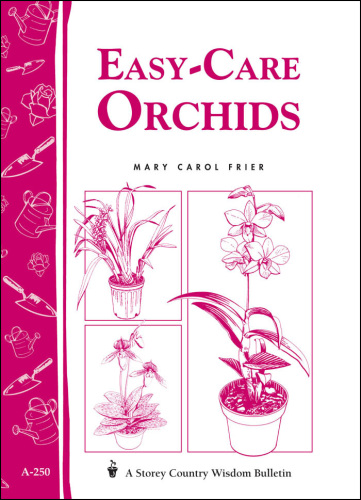 Easy-Care Orchids