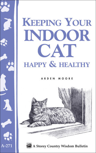 Keeping  Your Indoor Cat Happy & Healthy