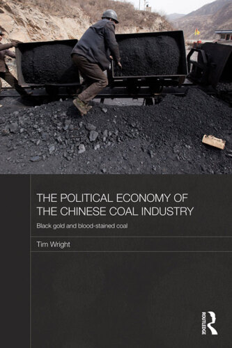 The Political Economy of the Chinese Coal Industry: Black Gold and Blood-Stained Coal