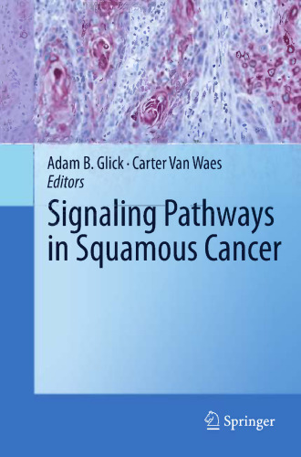 Signaling Pathways in Squamous Cancer