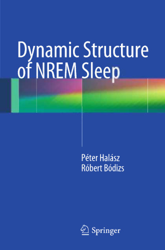 Dynamic Structure of NREM Sleep
