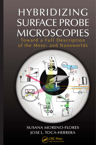 Hybridizing surface probe microscopies : toward a full description of the meso- and nanoworlds