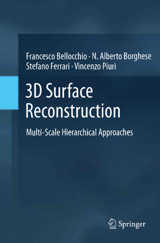 3D Surface Reconstruction: Multi-Scale Hierarchical Approaches