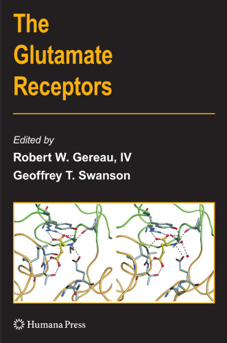 The Glutamate Receptors