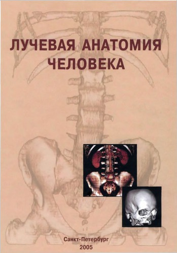 Лучевая анатомия человека.