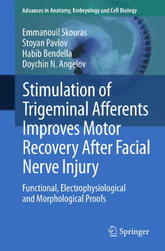 Stimulation of Trigeminal Afferents Improves Motor Recovery After Facial Nerve Injury: Functional, Electrophysiological and Morphological Proofs