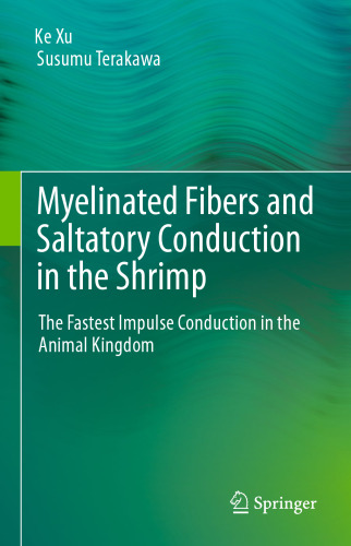 Myelinated Fibers and Saltatory Conduction in the Shrimp: The Fastest Impulse Conduction in the Animal Kingdom