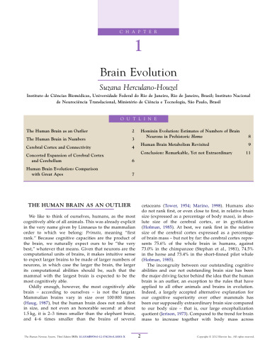 The Human Nervous System