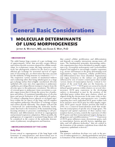 Kendig & Chernick's Disorders of the Respiratory Tract in Children