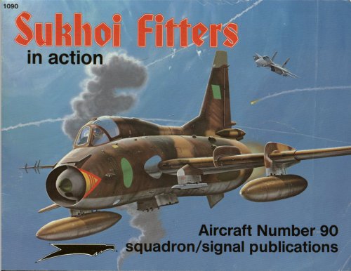Sukhoi Fitters In Action