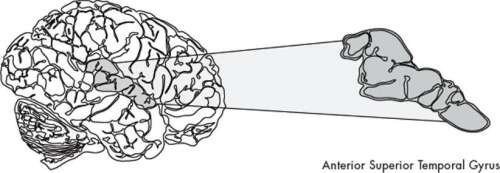 Imagine: How Creativity Works