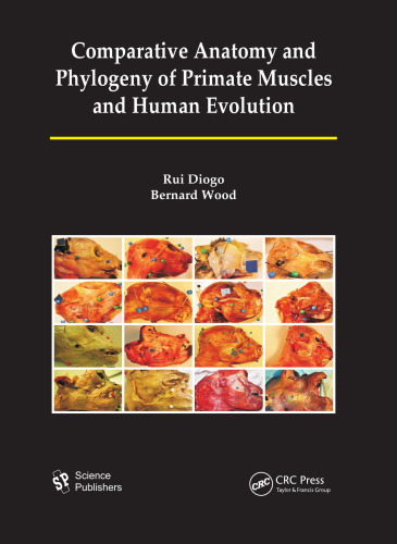 Comparative Anatomy and Phylogeny of Primate Muscles and Human Evolution