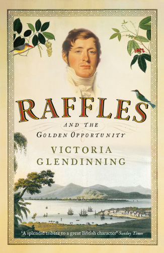 Raffles: The Man in His Moment