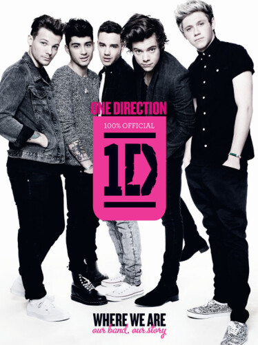 One Direction: Where We Are: Our Band, Our Story: 100% Official
