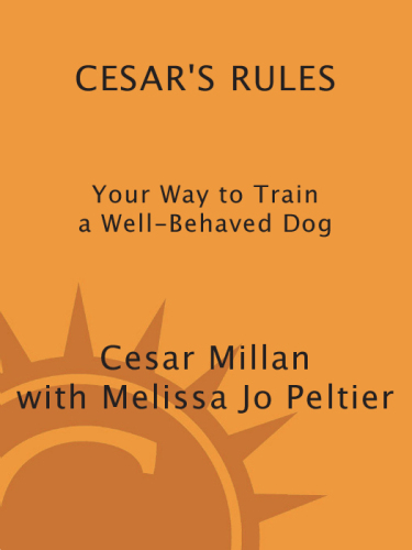 Cesar's Rules: Your Way to Train a Well-Behaved Dog