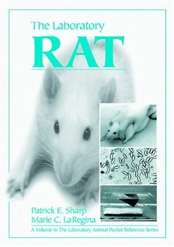 The Laboratory Rat