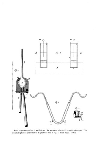 Origins of Clinical Chemistry. The Evolution of Protein Analysis