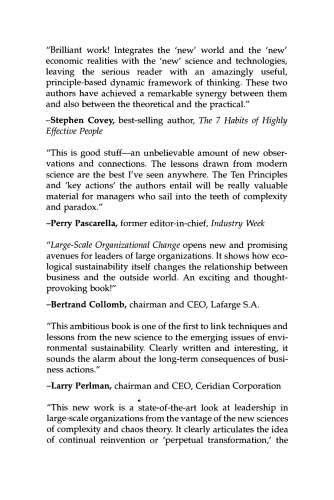 Large-Scale Organizational Change. An Executive's Guide