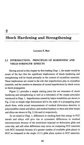 Shock Waves for Industrial Applications