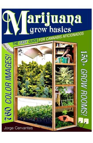 Marijuana Grow Basics: The Easy Guide for Cannabis Aficionados