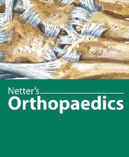 Netter's Orthopaedics, 1e