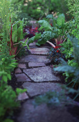 Shamanic Gardening: Timeless Techniques for the Modern Sustainable Garden