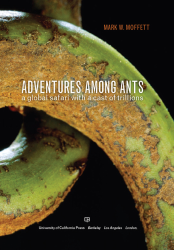 Adventures Among Ants: A Global Safari with a Cast of Trillions