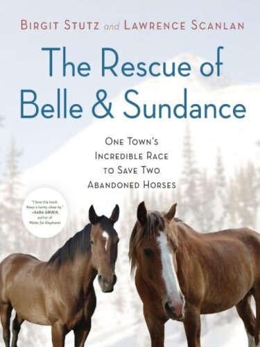 The Rescue of Belle and Sundance: One Town's Incredible Race to Save Two Abandoned Horses