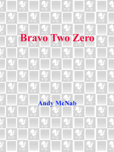 Bravo Two Zero