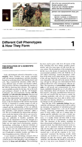 Molecular Basis of Medical Cell Biology