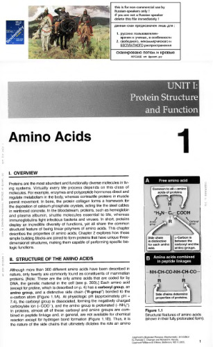 Lippincott's Illustrated Reviews: Biocheistry