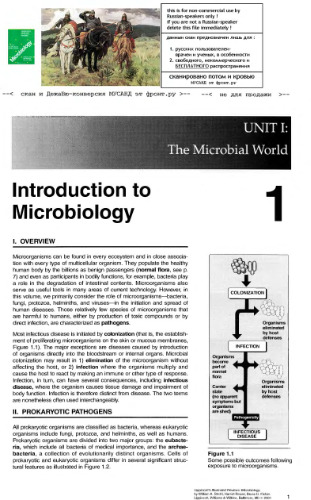 Lippincott's Illustrated Reviews: Microbiology