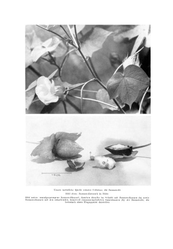 Die Chemie der Pflanzenzellwand: Ein Beitrag zur Morphologie, Physik, Chemie und Technologie der Cellulose und ihrer Begleiter