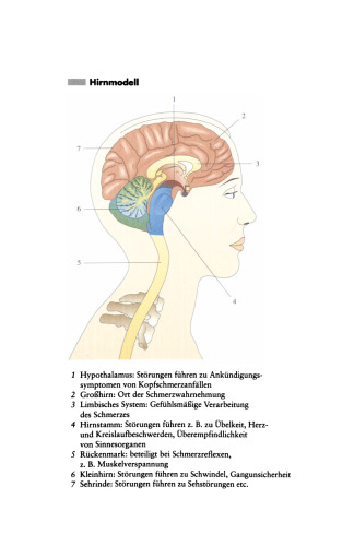 Kopfschmerzen und Migräne: Leiden, die man nicht hinnehmen muß