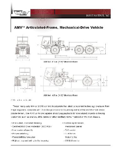 Input.Output Inc - AMV