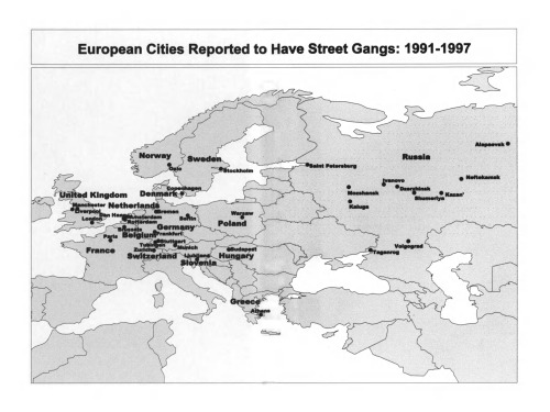 The Eurogang Paradox: Street Gangs and Youth Groups in the U.S. and Europe
