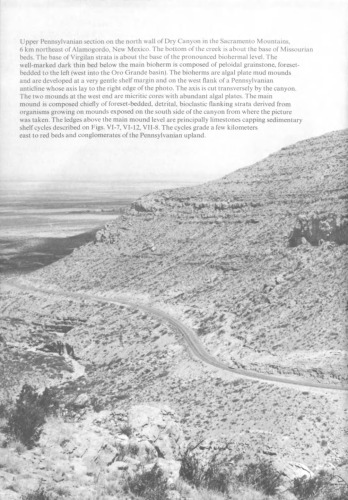 Carbonate Facies in Geologic History
