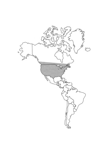 Encyclopedia of Prehistory:  Volume 6: North America