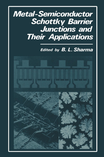 Metal-Semiconductor Schottky Barrier Junctions and Their Applications