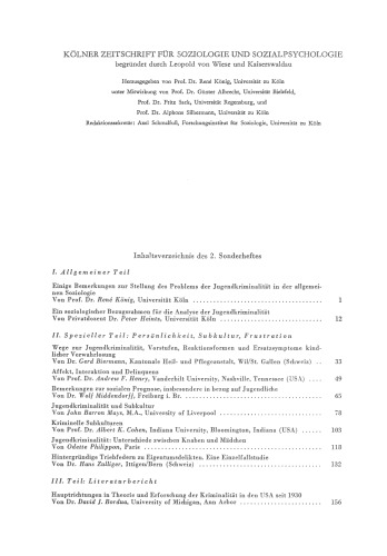 Soziologie der Jugendkriminalität