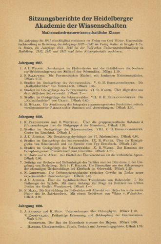 Beziehungen zwischen geometrischer und algebraischer Anordnung