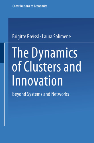 The Dynamics of Clusters and Innovation: Beyond Systems and Networks