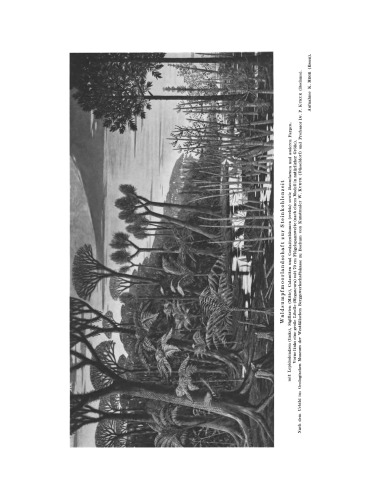 Geologie des Niederrheinisch-Westfälischen Steinkohlengebietes: Textband