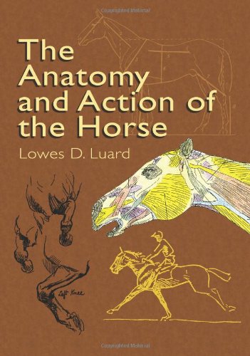 The Anatomy and Action of the Horse
