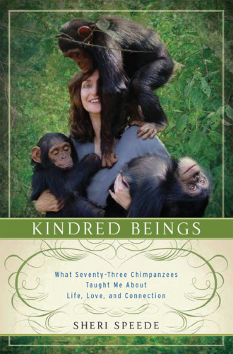 Kindred Beings: What Seventy-Three Chimpanzees Taught Me About Life, Love, and Connection