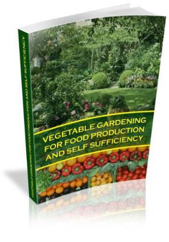 VEGETABLE GARDENING FOR FOOD PRODUCTION AND SELF SUFFICIENCY