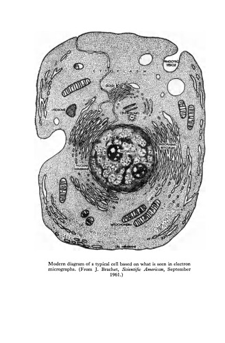 The Structure and Function of Animal Cell Components. An Introductory Text